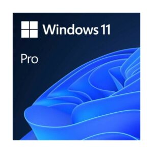 Microsoft Windows 11 Professional - 64 bit DSP DVD Version